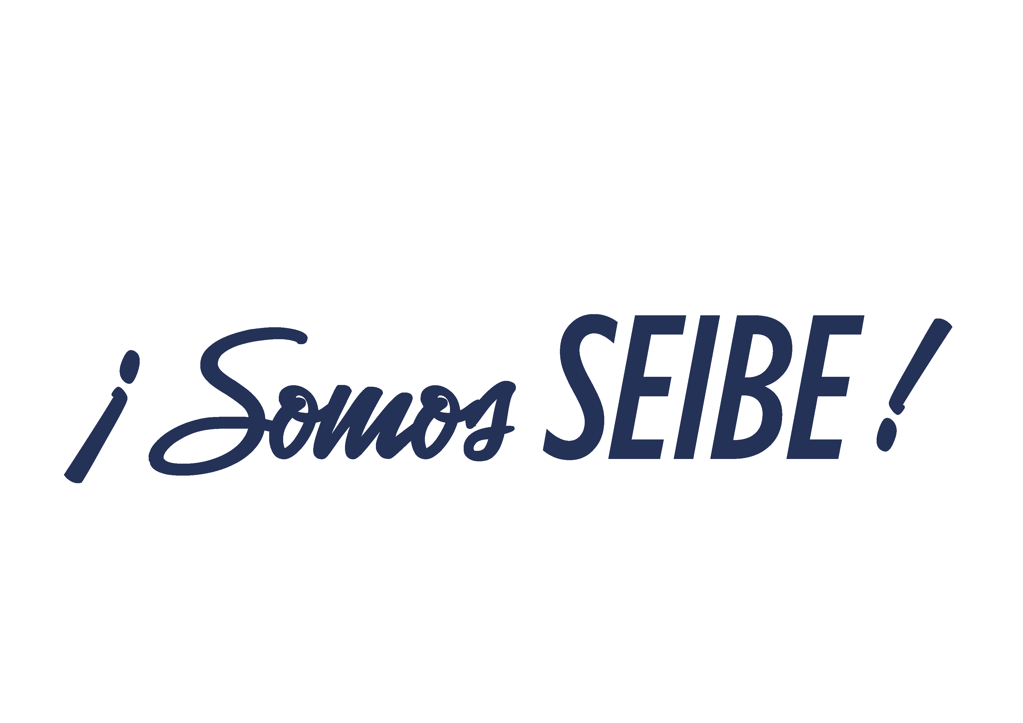 Logo SEIBE